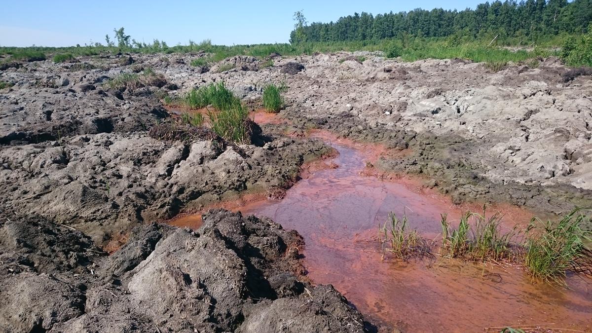 Acidic sulphate soils leach metals – MarineFinland.fi